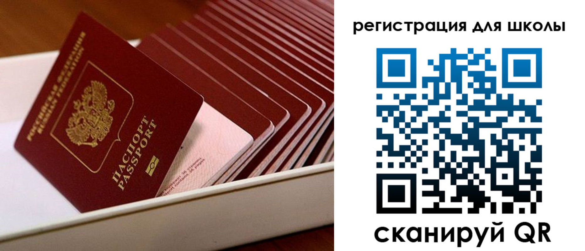 прописка гарантия в Курганской области